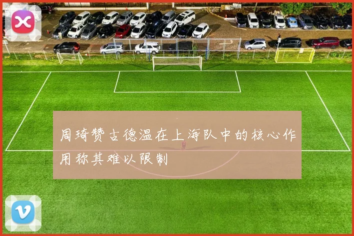 周琦赞古德温在上海队中的核心作用称其难以限制